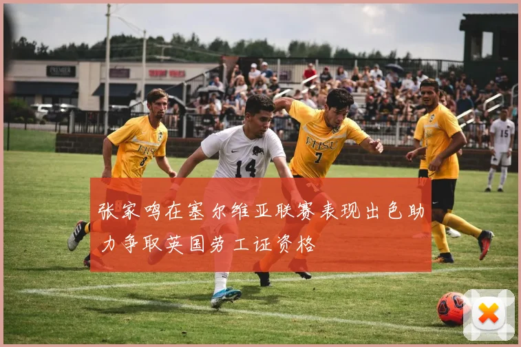 张家鸣在塞尔维亚联赛表现出色助力争取英国劳工证资格